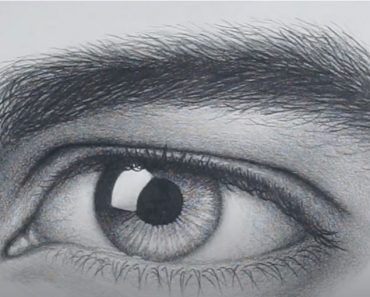 How to Draw a Eyebrow