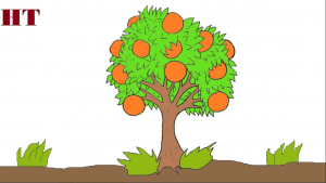 How to draw a orange tree easy