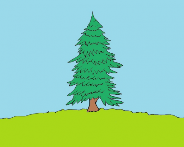 How to draw a pine tree step by step |  Drawing  tree easy