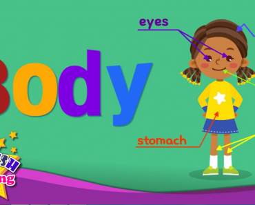 Parts of the Body Song – Learn English for kids