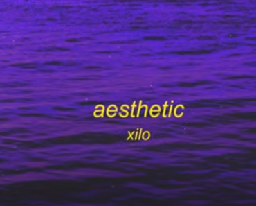 “Aesthetic” by Silo