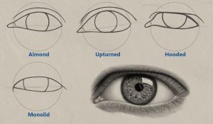 How to Draw Different Eye Shapes