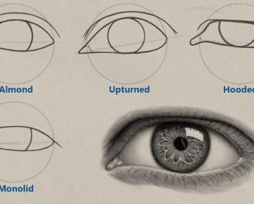 How to Draw Different Eye Shapes Step by Step