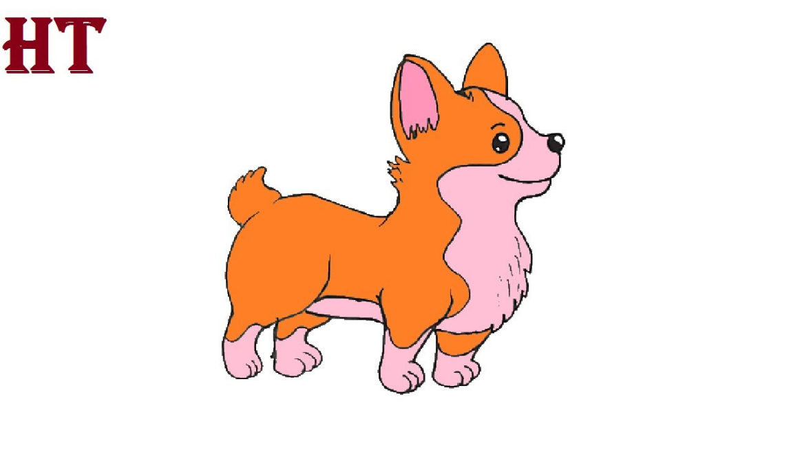 How to Draw a Corgi step by step