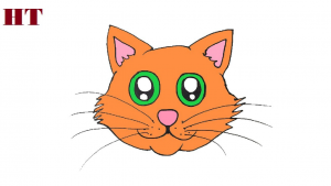 How to draw a cartoon cat face