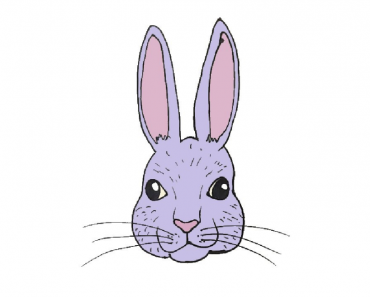 How to draw a bunny face step by step | Easy rabbit face drawing