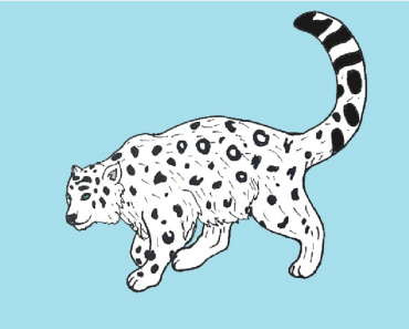 How to draw a snow leopard step by step | Easy drawing snow leopard for kids