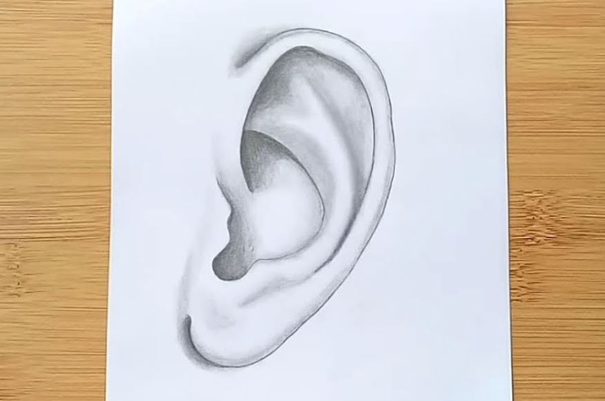How to draw an Ear