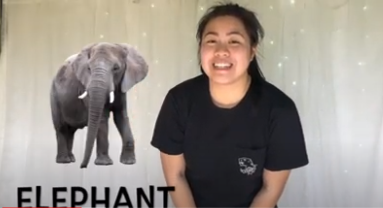 If You’re An Elephant and You Know It - Funny music video