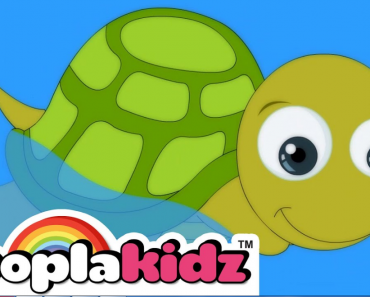 Tiny Tim the Turtle