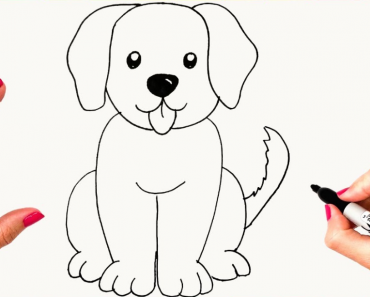 How to Draw a cute Dog Step by Step | Easy dog drawing fo kids and beginners