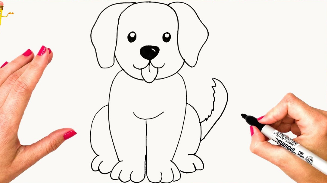How to Draw a cute Dog Step by Step