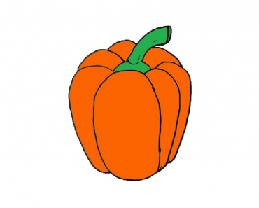 How to draw Capsicum step by step || Fruit Drawings