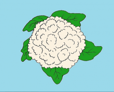 How to draw Cauliflower