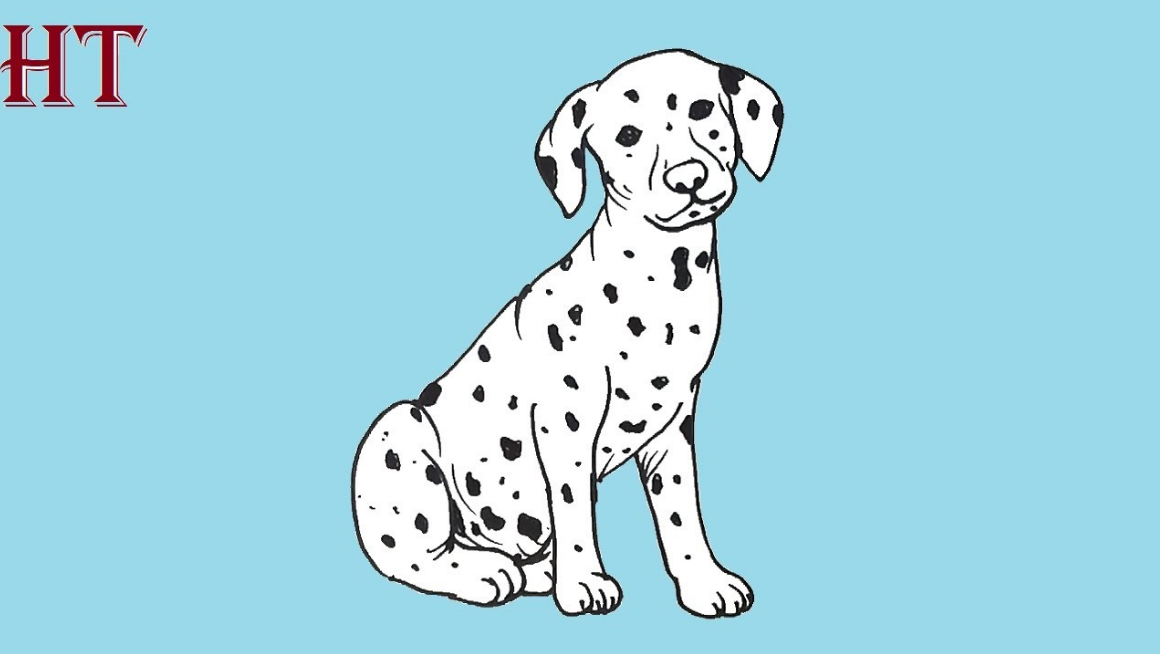 How to draw a Dalmatian Dog Step by Step
