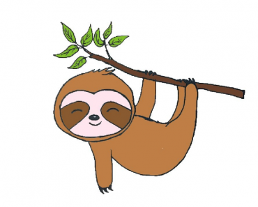 How to draw a cute Sloth step by step | Easy animals for kids and beginners
