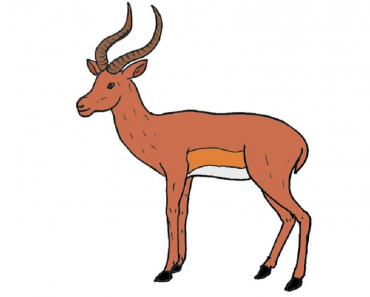 How to Draw an Impala Step by Step || Easy to draw deer