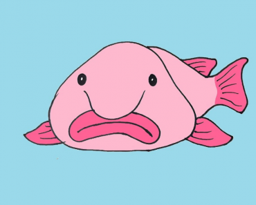 How to draw a Blobfish step by step || Easy drawing Blobfish