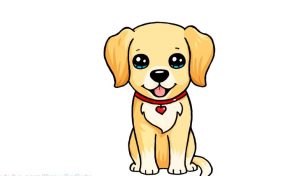 How to Draw a cute Labrador step by step