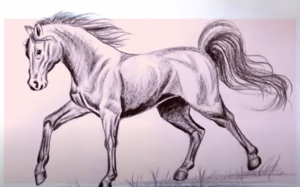 How to draw a Horse 