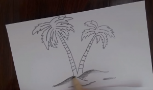 How to draw a Palm Tree step by step