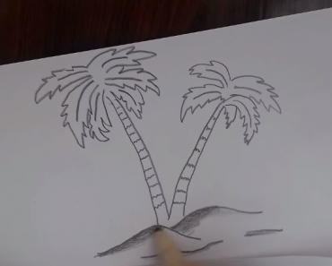 How to draw a Palm Tree step by step | Easy drawing Palm Tree