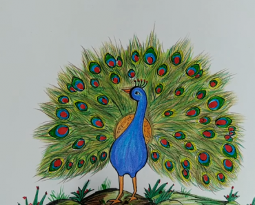 How To Draw a Peacock Step by Step | Animals easy to draw for kids and beginners