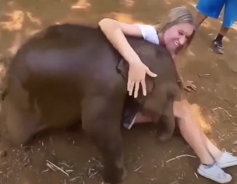 The cutest animals on the planet