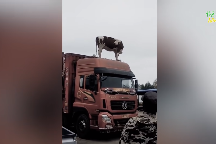 Top 35 Crazy Moments on the Road