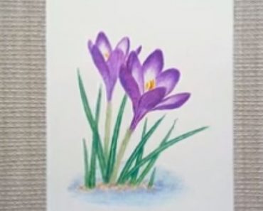 Draw Crocus step by step | Easy drawing Crocus