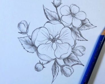 Draw flowers with pencil