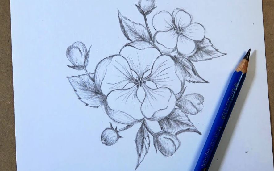 Draw flowers with pencil
