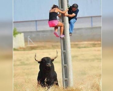 Funniest Fails video | Funny video compilation
