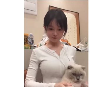Funny video compilation | The cutest dogs and cats on the planet
