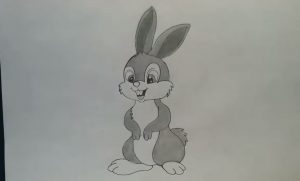 How to draw a Baby Bunny step by step