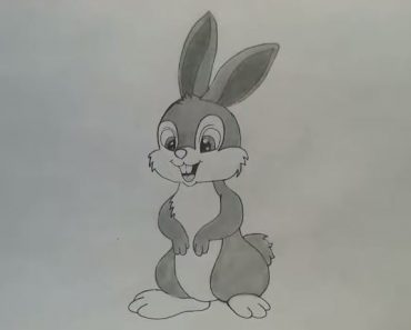 How to draw a Baby Bunny step by step | drawing a cute rabbit easy