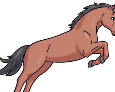 How to draw a Horse Jumping step by step | Easy drawing horse
