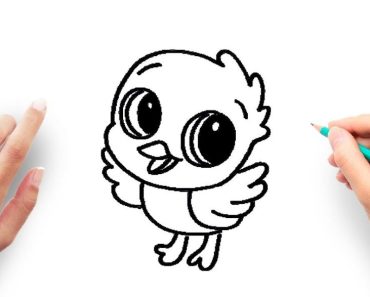 How to draw a baby bird step by step | Easy drawing a baby bird
