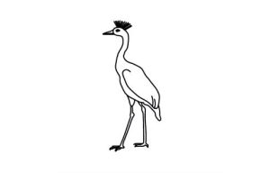 How to draw a crane step by step