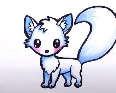 How To Draw An Arctic Fox cute step by step | Easy drawing a cute Arctic Fox