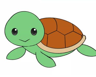 How to draw cute turtle step by step | Easy drawing turtle