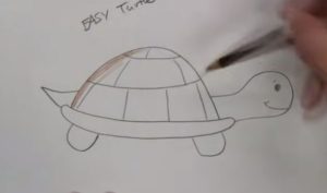 How to draw a turtle step by step