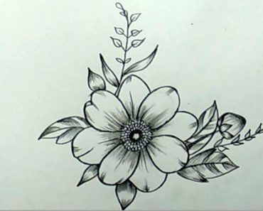 How to draw flowers with pencil step by step | Easy to draw flowers for kids