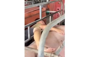 Funniest video moments