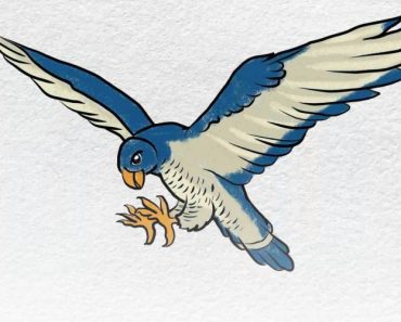 How to draw a peregrine falcon step by step | Easy drawing a peregrine falcon