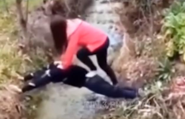 Funny compilation video