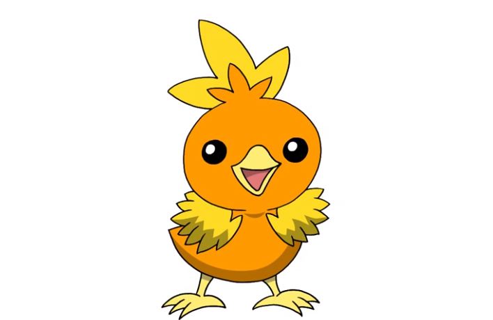 How To Draw Torchic step by step
