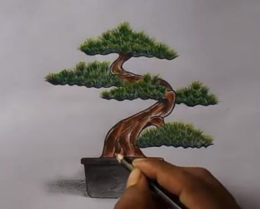 How To draw a wrong bonsai step by step | Easy drawing wrong bonsai