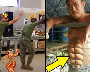 The most stupid people on the planet | The most difficult accidents in the world