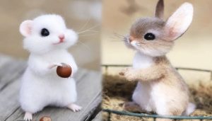 Video compilation of the cutest little animals in the worldEveryone talks about how "cute" typical animals are, and here I am scouring the comments for a dinosaur connoisseur who can name the animal for me.